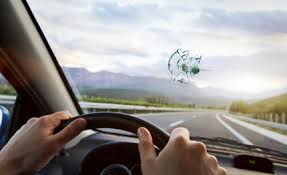 windshield with chip